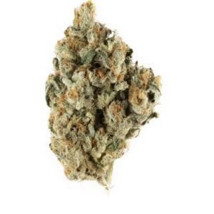 Buy Blackberry Kush Online In Singapore