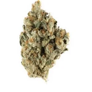 Buy Blackberry Kush Online In Singapore