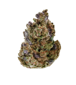 Granddady Purple Singapore