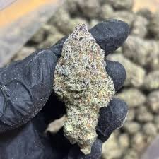 Buy OG Kush Online In Singapore