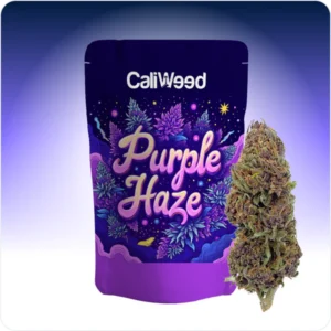 Purple Haze Online In Singapore