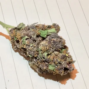 Buy Purple Haze Online In Singapore